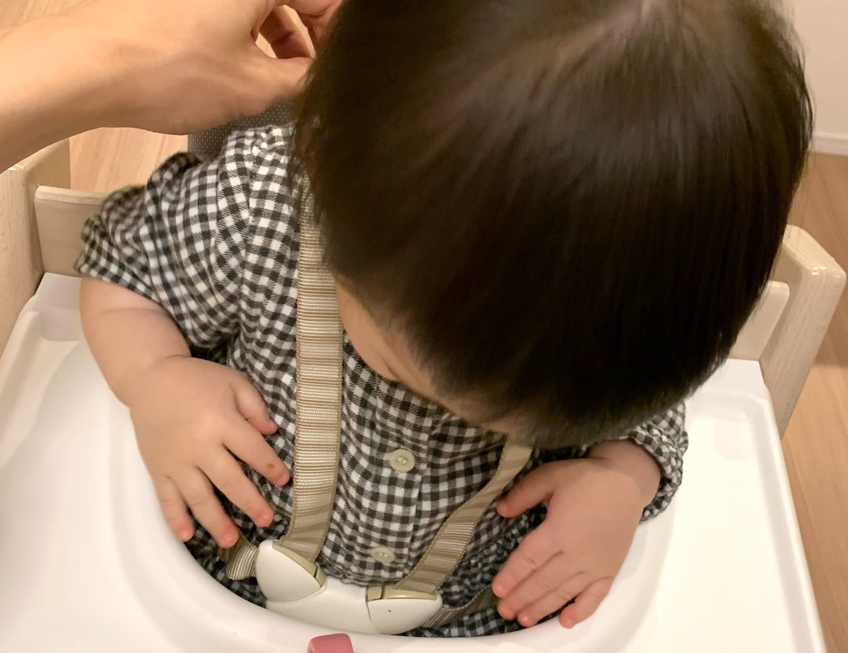 ストッケ のハーネスは自分で閉めようとするし、好きみたい