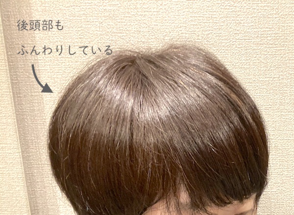 Aesopテイムヘアセラムの使用感と使い方を紹介します コビトリビング