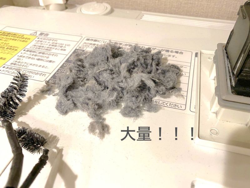 ドラム式洗濯機の埃をとってみたら大量！